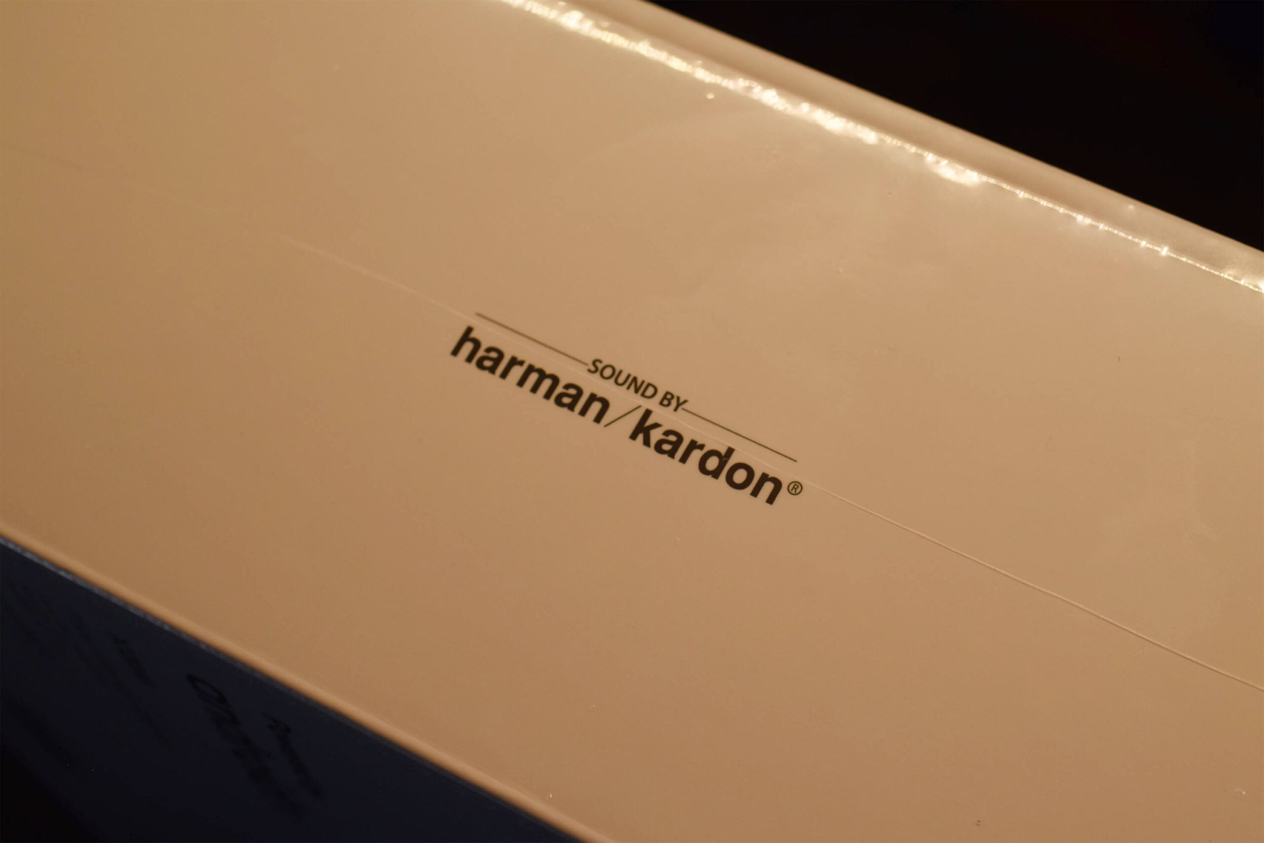 箱のサイドにはHarman Kardonのロゴ。