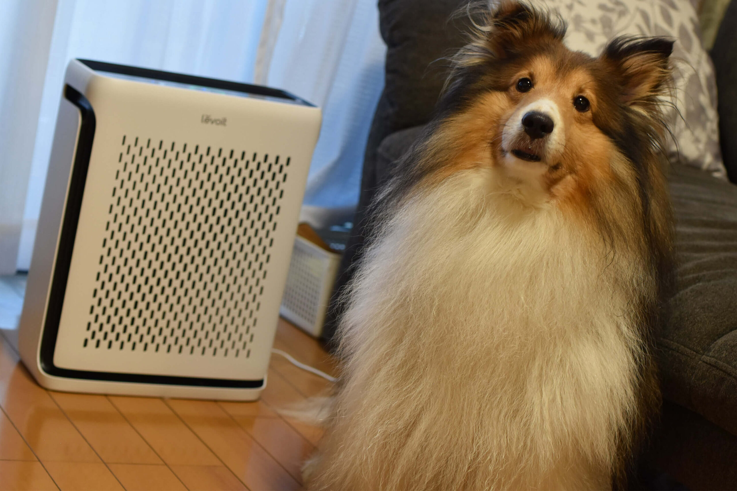 ペットモード搭載！抜け毛や匂いも除去